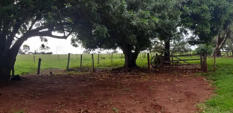 Comprar Rural / S&iacute;tio em Ituiutaba R$ 6.000.000,00 - Foto 14