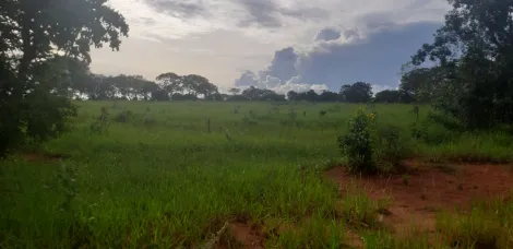 Comprar Rural / S&iacute;tio em Ituiutaba R$ 6.000.000,00 - Foto 15
