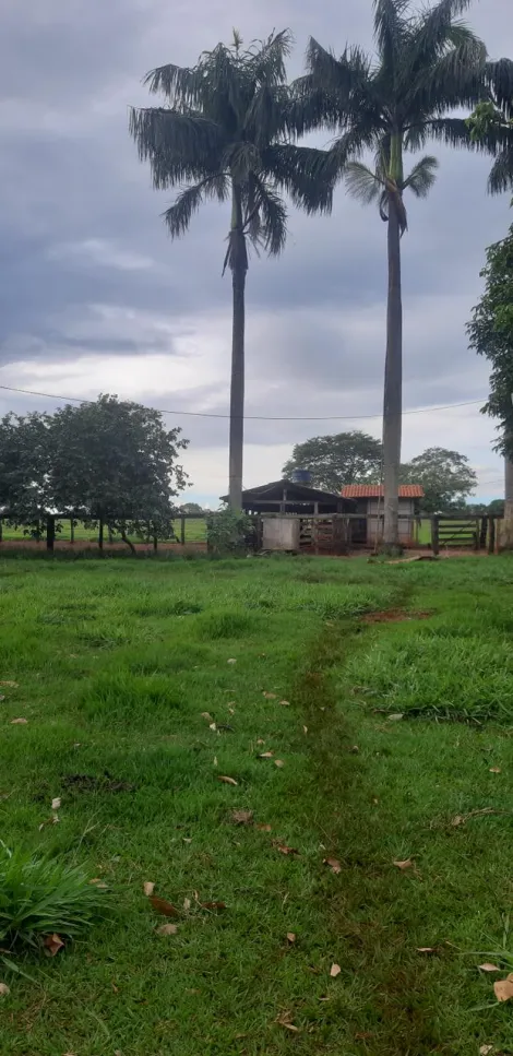 Comprar Rural / S&iacute;tio em Ituiutaba R$ 6.000.000,00 - Foto 16