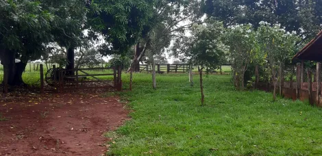 Comprar Rural / S&iacute;tio em Ituiutaba R$ 6.000.000,00 - Foto 17