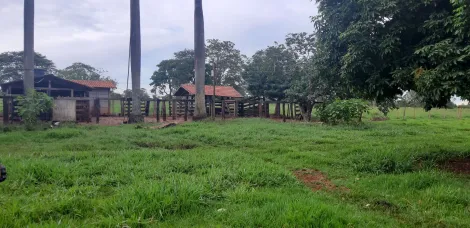 Comprar Rural / S&iacute;tio em Ituiutaba R$ 6.000.000,00 - Foto 2