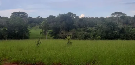 Comprar Rural / S&iacute;tio em Ituiutaba R$ 6.000.000,00 - Foto 18