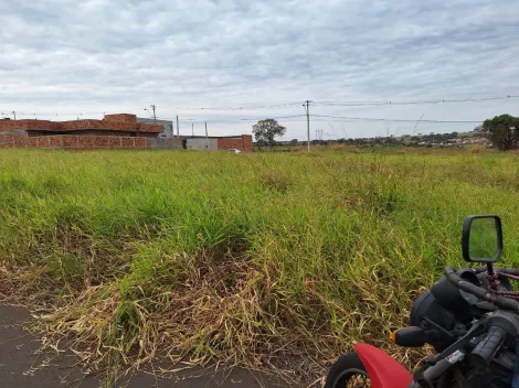 Terreno / Padr&atilde;o em S&atilde;o Jos&eacute; do Rio Preto 
