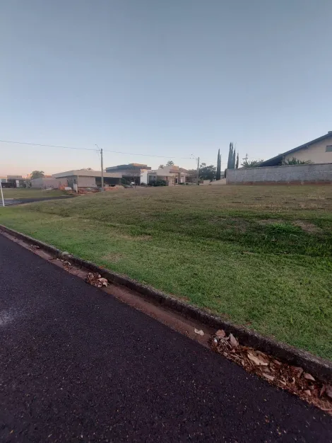 Comprar Terreno / Condom&iacute;nio em S&atilde;o Jos&eacute; do Rio Preto R$ 290.000,00 - Foto 2
