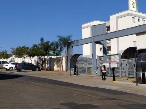 Alugar Apartamento / Padr&atilde;o em S&atilde;o Jos&eacute; do Rio Preto R$ 950,00 - Foto 11