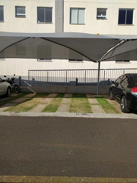 Alugar Apartamento / Padr&atilde;o em S&atilde;o Jos&eacute; do Rio Preto R$ 950,00 - Foto 15