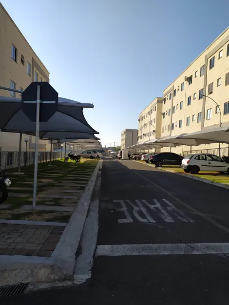 Alugar Apartamento / Padr&atilde;o em S&atilde;o Jos&eacute; do Rio Preto R$ 950,00 - Foto 18