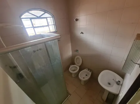 Alugar Rural / Ch&aacute;cara em S&atilde;o Jos&eacute; do Rio Preto R$ 4.700,00 - Foto 15