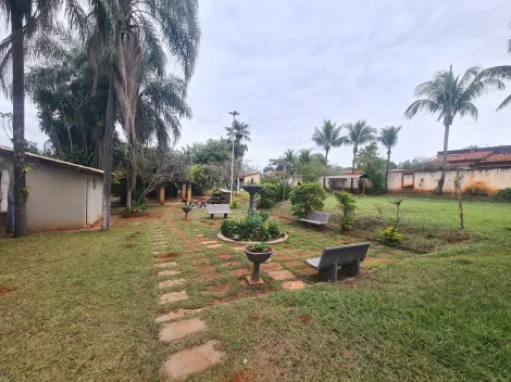 Alugar Rural / Ch&aacute;cara em S&atilde;o Jos&eacute; do Rio Preto R$ 4.700,00 - Foto 30