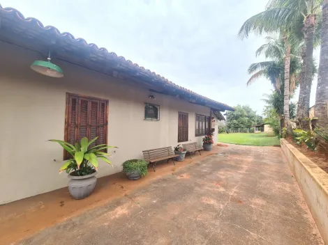 Alugar Rural / Ch&aacute;cara em S&atilde;o Jos&eacute; do Rio Preto R$ 4.700,00 - Foto 36