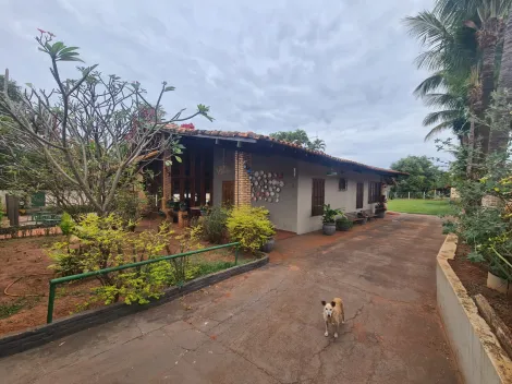 Alugar Rural / Ch&aacute;cara em S&atilde;o Jos&eacute; do Rio Preto R$ 4.700,00 - Foto 37