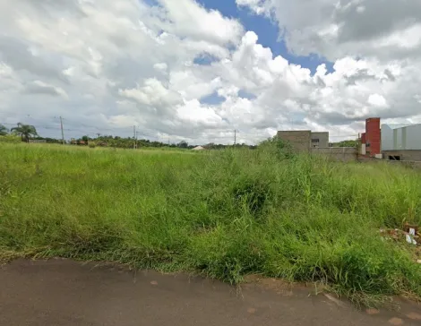 Terreno / Padr&atilde;o em S&atilde;o Jos&eacute; do Rio Preto 