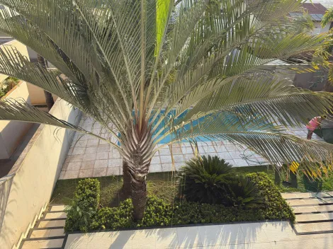 Comprar Casa / Condom&iacute;nio em S&atilde;o Jos&eacute; do Rio Preto R$ 3.690.000,00 - Foto 53
