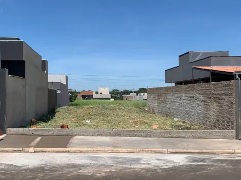 Terreno / Padr&atilde;o em S&atilde;o Jos&eacute; do Rio Preto 