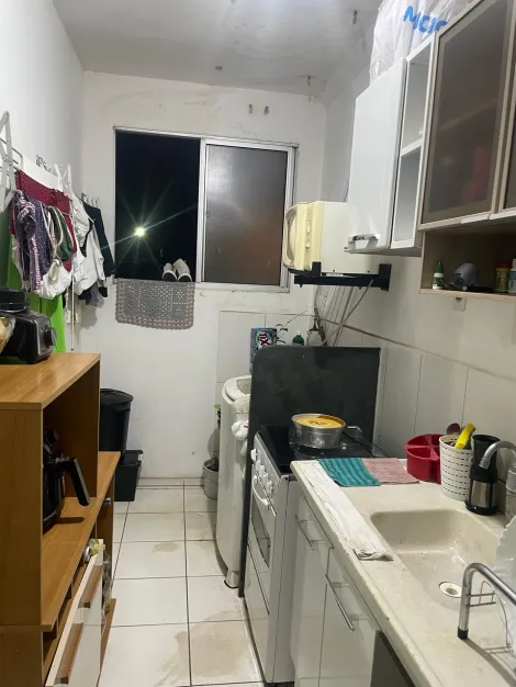 Apartamento / Padr&atilde;o em S&atilde;o Jos&eacute; do Rio Preto 