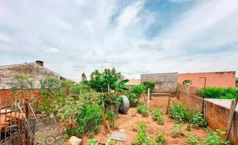 Comprar Casa / Padr&atilde;o em S&atilde;o Jos&eacute; do Rio Preto R$ 300.000,00 - Foto 6