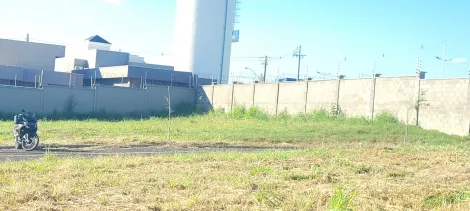 Terreno / Condom&iacute;nio em S&atilde;o Jos&eacute; do Rio Preto 