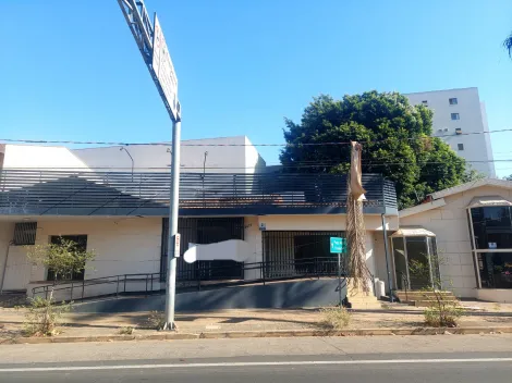 Comercial / Casa Comercial em S&atilde;o Jos&eacute; do Rio Preto 