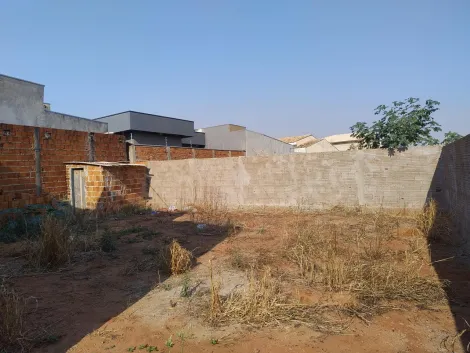 Comprar Comercial / Sal&atilde;o em Bady Bassitt R$ 330.000,00 - Foto 6