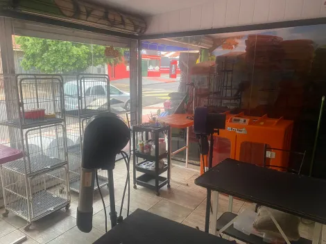 Alugar Comercial / Sal&atilde;o em S&atilde;o Jos&eacute; do Rio Preto R$ 2.700,00 - Foto 5