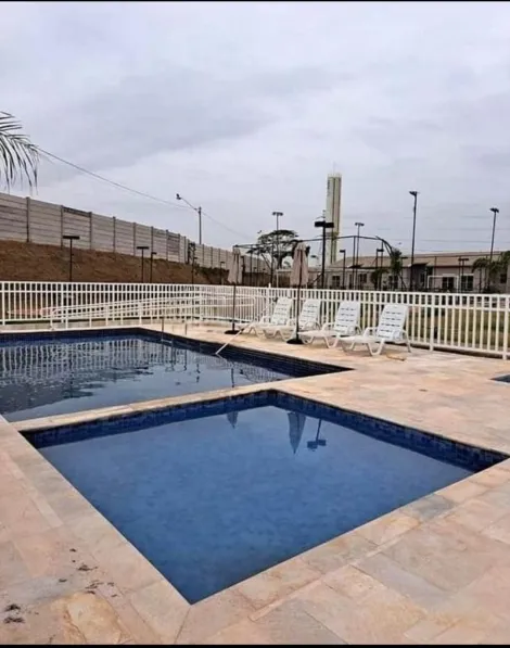 Comprar Casa / Condom&iacute;nio em Bady Bassitt R$ 237.000,00 - Foto 11