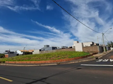 Terreno / Padr&atilde;o em Mirassol 