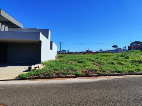 Terreno / Condom&iacute;nio em S&atilde;o Jos&eacute; do Rio Preto 