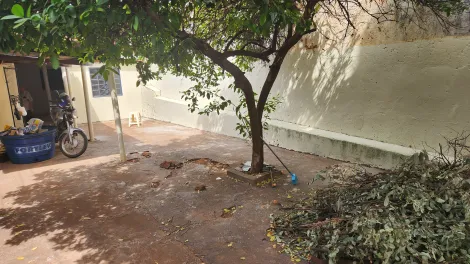 Alugar Casa / Padr&atilde;o em S&atilde;o Jos&eacute; do Rio Preto R$ 900,00 - Foto 2