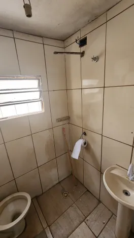 Alugar Casa / Padr&atilde;o em S&atilde;o Jos&eacute; do Rio Preto R$ 900,00 - Foto 7