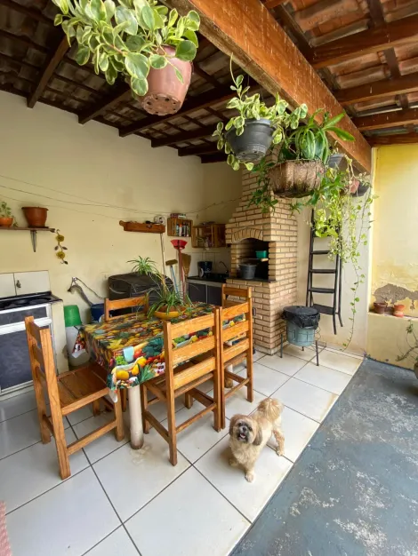 Alugar Casa / Padr&atilde;o em S&atilde;o Jos&eacute; do Rio Preto. apenas R$ 480.000,00