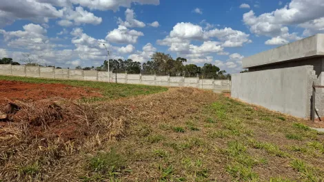Comprar Terreno / Condom&iacute;nio em S&atilde;o Jos&eacute; do Rio Preto R$ 275.000,00 - Foto 3