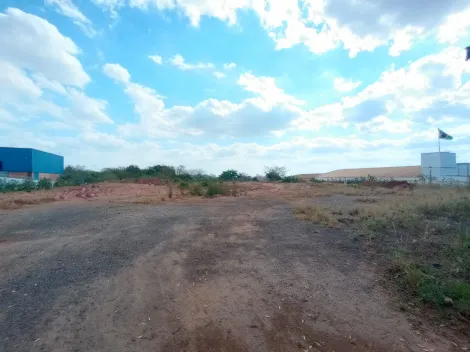 Alugar Terreno / &Aacute;rea em S&atilde;o Jos&eacute; do Rio Preto R$ 100.000,00 - Foto 3