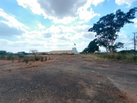 Alugar Terreno / &Aacute;rea em S&atilde;o Jos&eacute; do Rio Preto R$ 100.000,00 - Foto 5