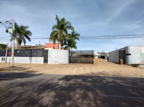 Comercial / Sal&atilde;o em S&atilde;o Jos&eacute; do Rio Preto 