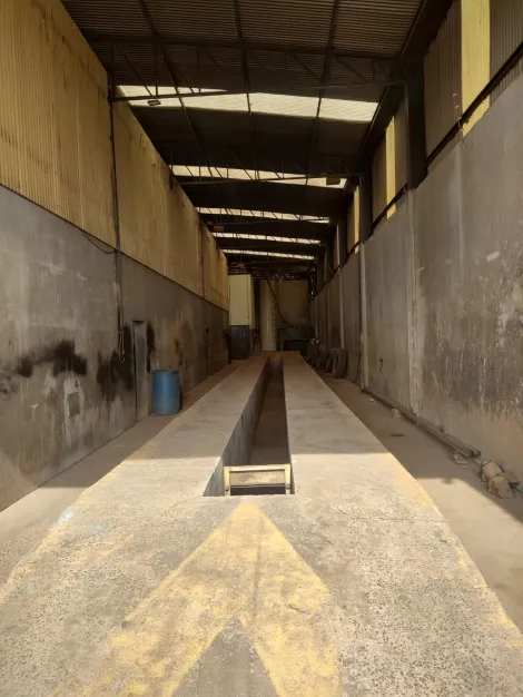 Alugar Comercial / Sal&atilde;o em S&atilde;o Jos&eacute; do Rio Preto R$ 55.000,00 - Foto 5