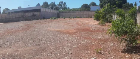 Alugar Terreno / &Aacute;rea em S&atilde;o Jos&eacute; do Rio Preto R$ 15.000,00 - Foto 3