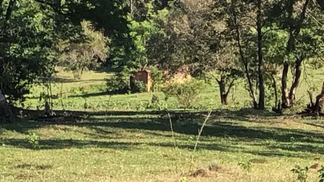 Comprar Rural / S&iacute;tio em General Salgado R$ 4.185.000,00 - Foto 2