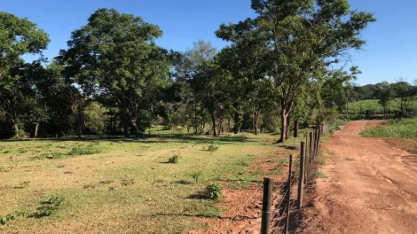 Comprar Rural / S&iacute;tio em General Salgado R$ 4.185.000,00 - Foto 3