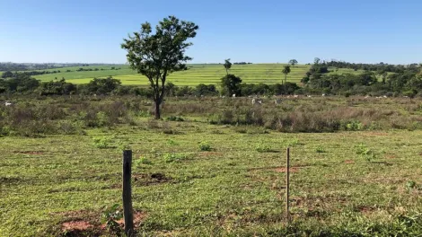 Comprar Rural / S&iacute;tio em General Salgado R$ 4.185.000,00 - Foto 4