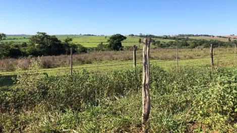 Comprar Rural / S&iacute;tio em General Salgado R$ 4.185.000,00 - Foto 5