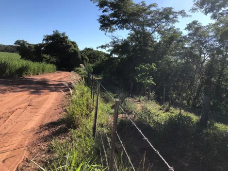 Comprar Rural / S&iacute;tio em General Salgado R$ 4.185.000,00 - Foto 7