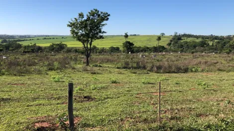 Comprar Rural / S&iacute;tio em General Salgado R$ 4.185.000,00 - Foto 8