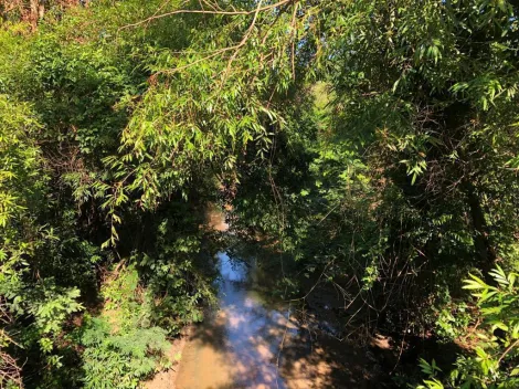Comprar Rural / S&iacute;tio em General Salgado R$ 4.185.000,00 - Foto 12