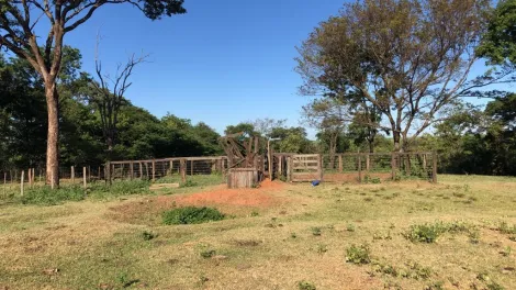 Comprar Rural / S&iacute;tio em General Salgado R$ 4.185.000,00 - Foto 13