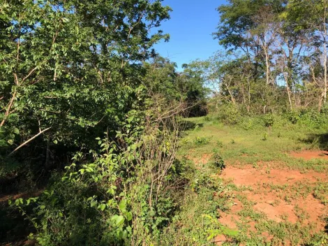 Comprar Rural / S&iacute;tio em General Salgado R$ 4.185.000,00 - Foto 14