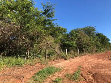 Comprar Rural / S&iacute;tio em General Salgado R$ 4.185.000,00 - Foto 16