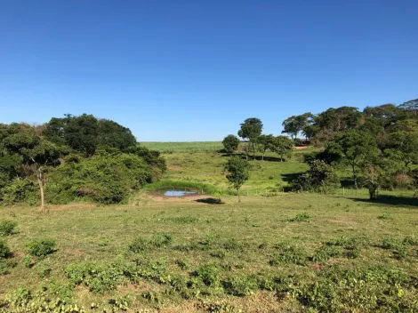 Comprar Rural / S&iacute;tio em General Salgado R$ 4.185.000,00 - Foto 17