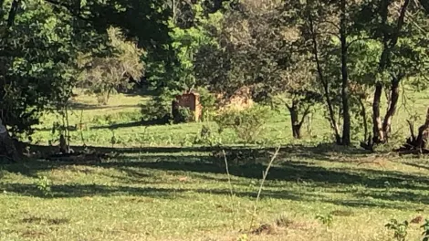 Comprar Rural / S&iacute;tio em General Salgado R$ 4.185.000,00 - Foto 19