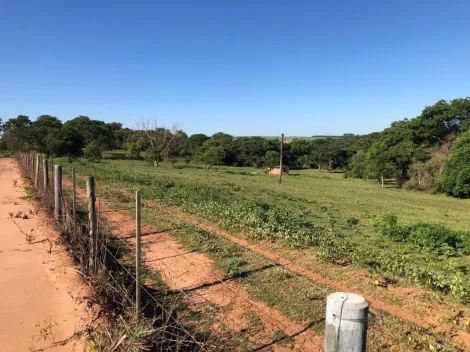Comprar Rural / S&iacute;tio em General Salgado R$ 4.185.000,00 - Foto 20