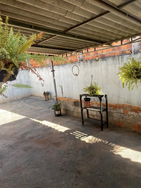 Comprar Casa / Padr&atilde;o em S&atilde;o Jos&eacute; do Rio Preto R$ 259.900,00 - Foto 8